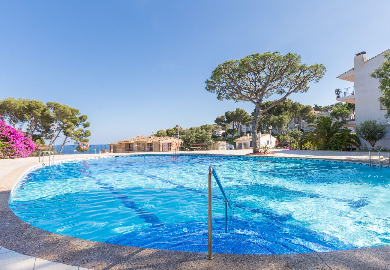 Apartamento en Calella de Palafrugell - 1CV - Acogedor apartamento con piscina comunitaria a solo 200m de la playa de Calella de Palafrugell