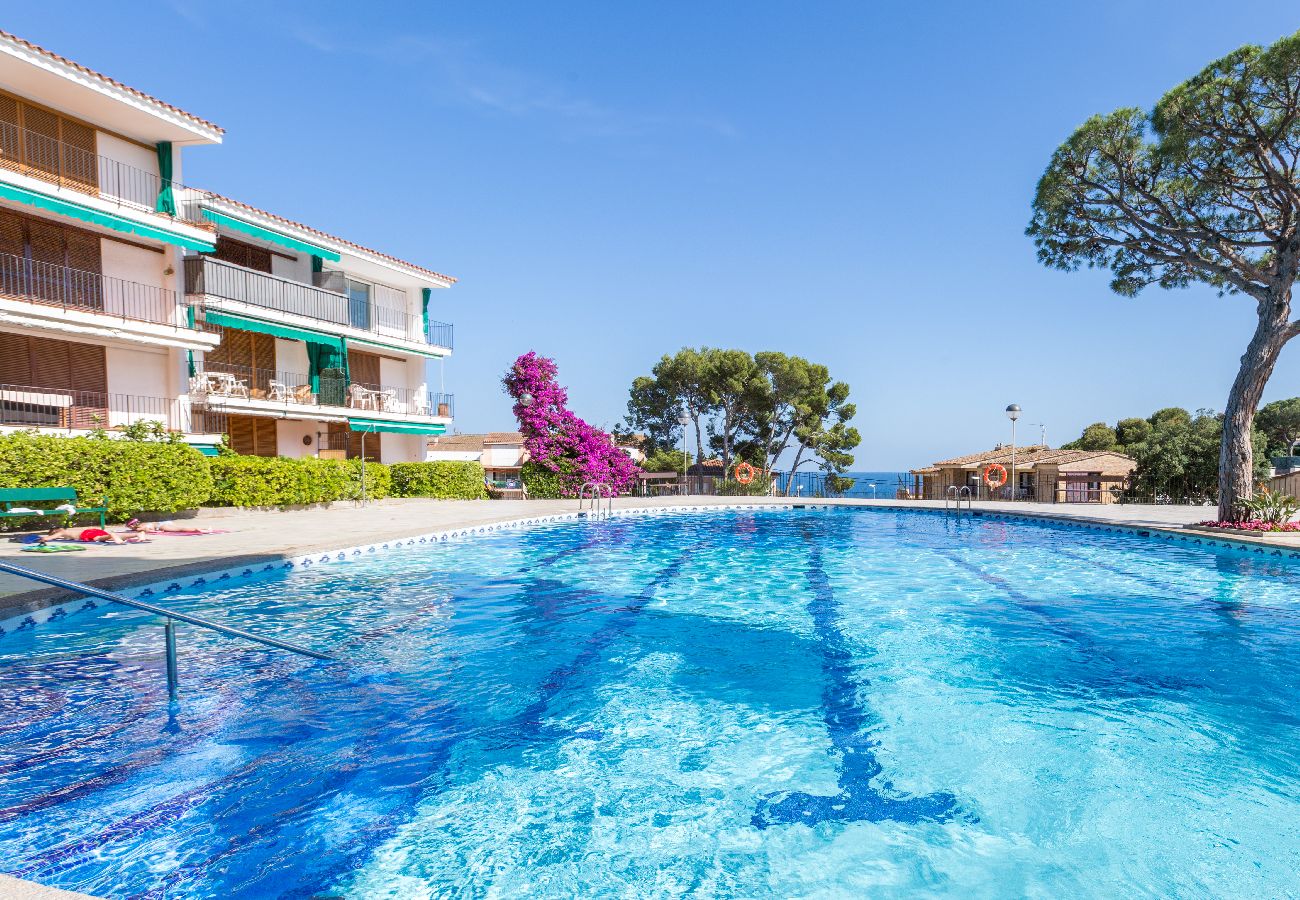 Apartamento en Calella de Palafrugell - 1CV - Acogedor apartamento con piscina comunitaria a solo 200m de la playa de Calella de Palafrugell