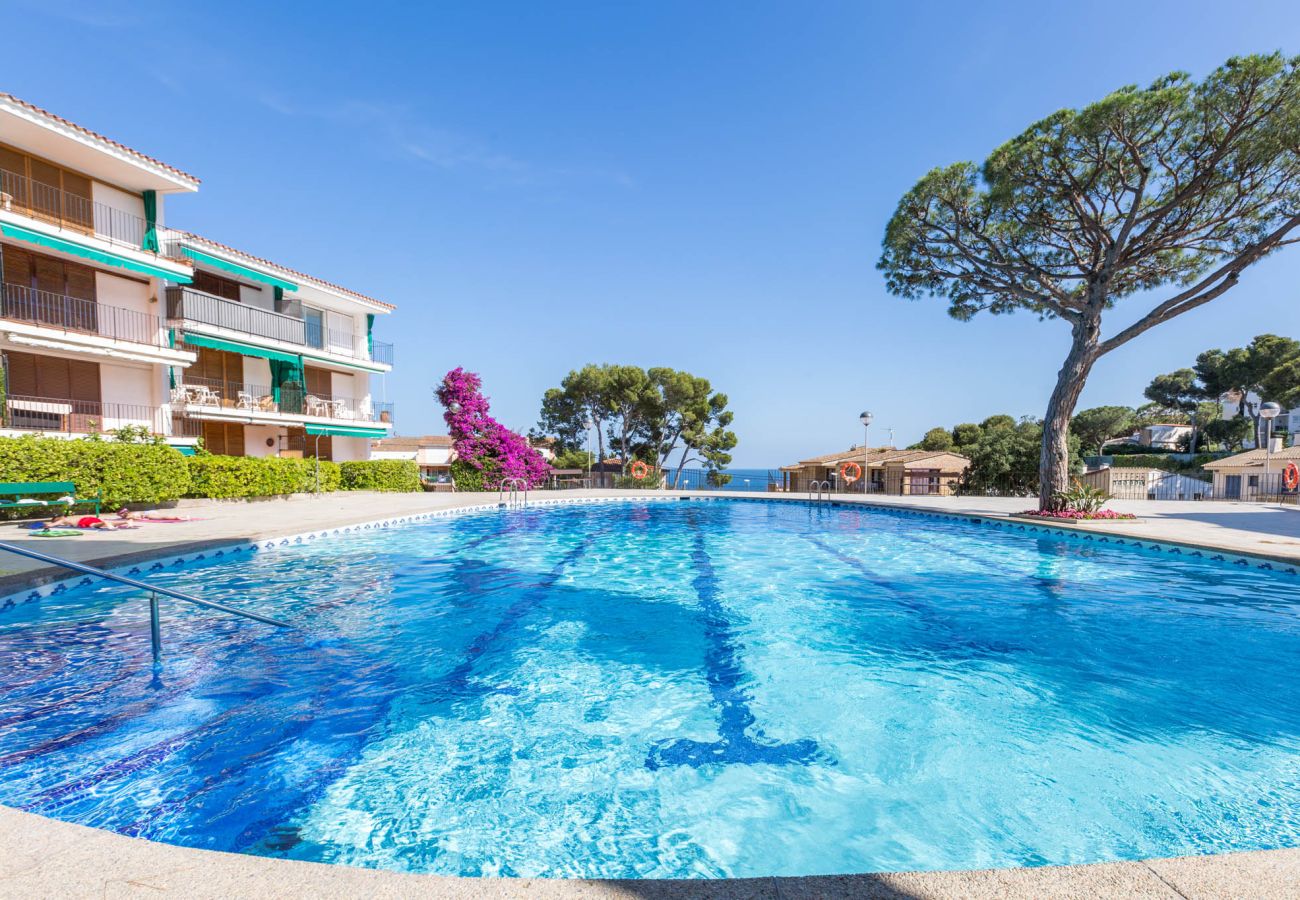 Apartamento en Calella de Palafrugell - 1CV - Acogedor apartamento con piscina comunitaria a solo 200m de la playa de Calella de Palafrugell