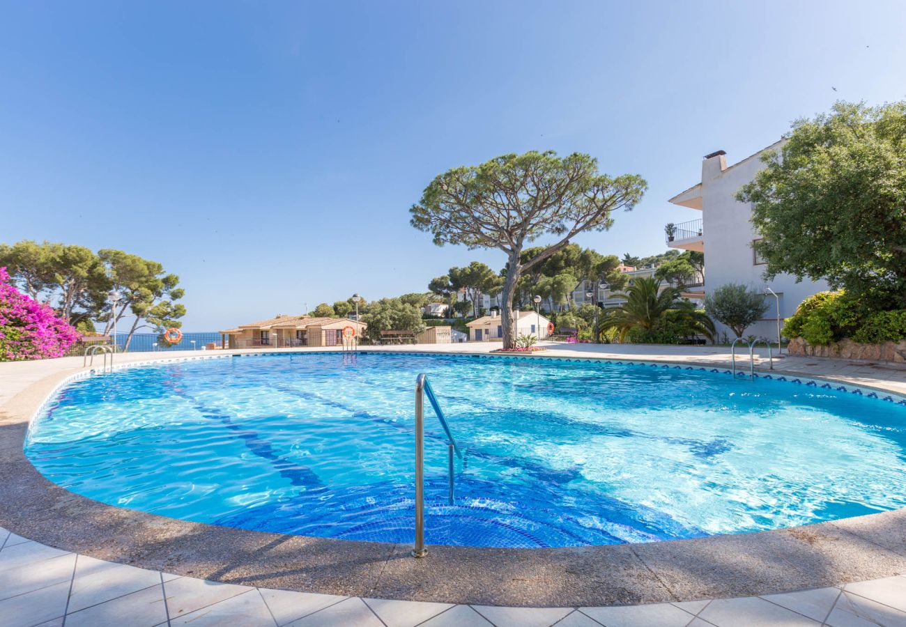 Apartamento en Calella de Palafrugell - 1CV - Acogedor apartamento con piscina comunitaria a solo 200m de la playa de Calella de Palafrugell