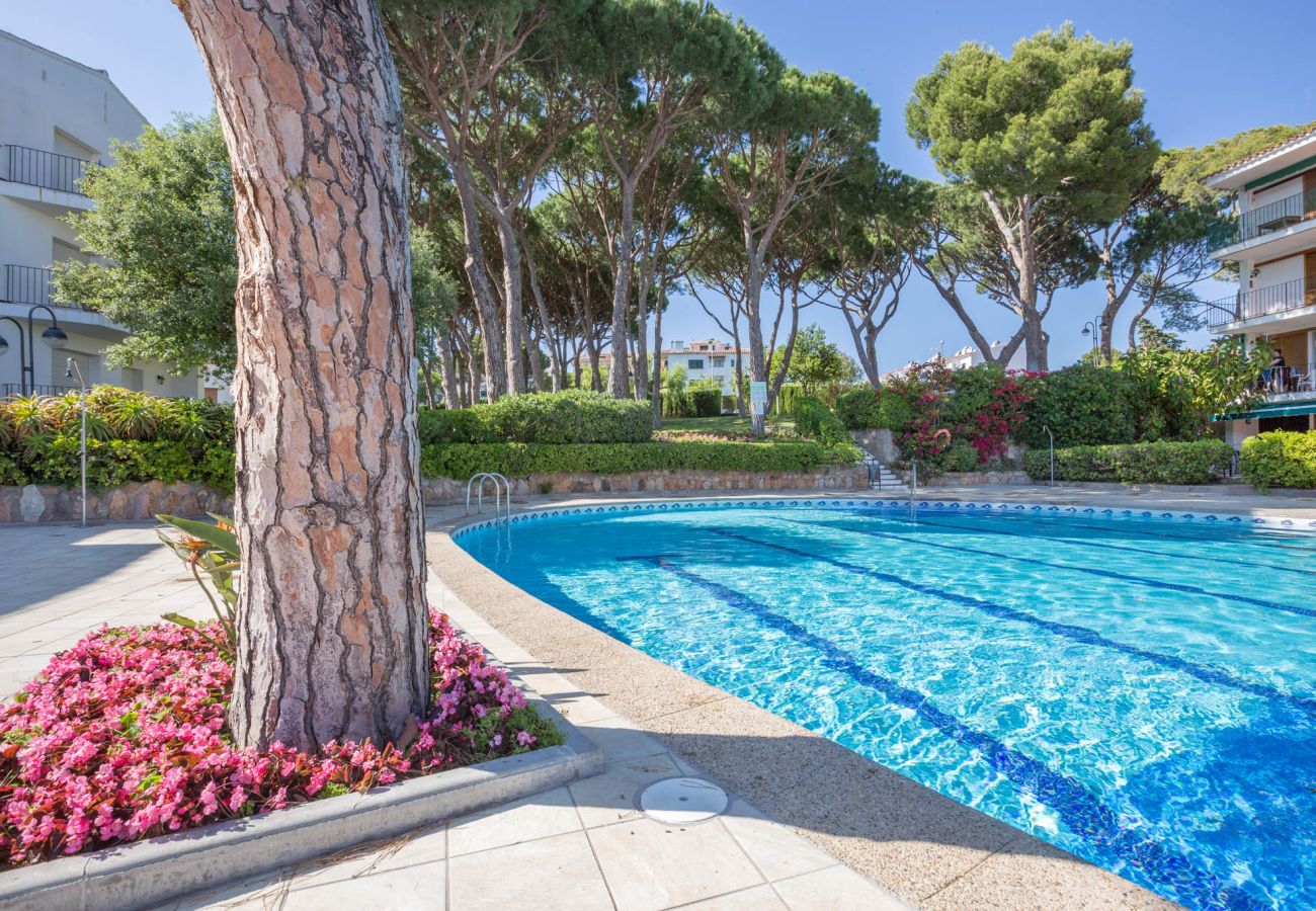 Apartamento en Calella de Palafrugell - 1CV - Acogedor apartamento con piscina comunitaria a solo 200m de la playa de Calella de Palafrugell