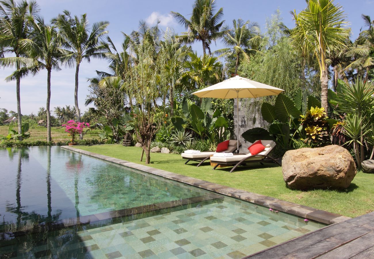 Villa en Canggu - Dea Villas - Sarasvati