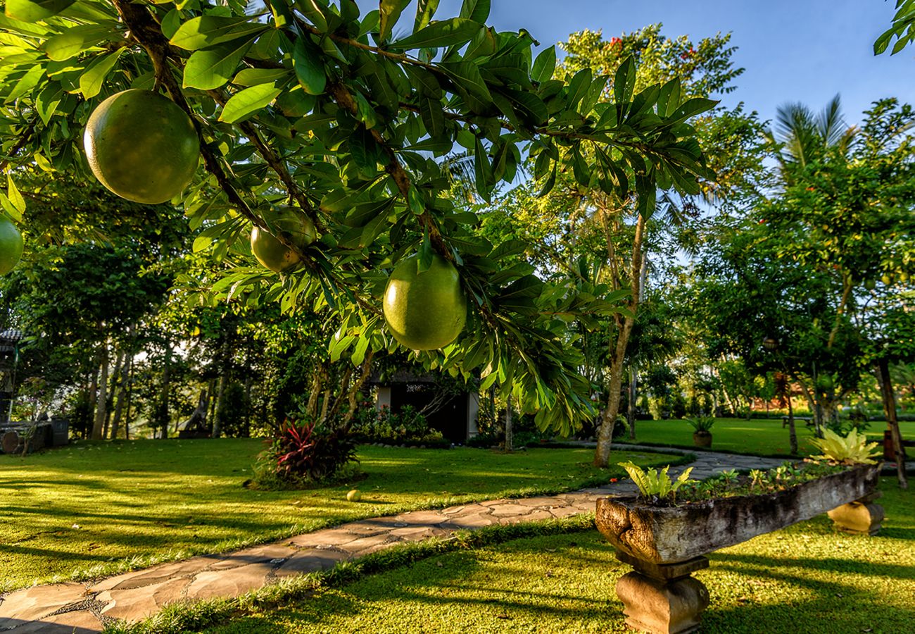 Villa en Abiansemal - Permata Ayung Estate