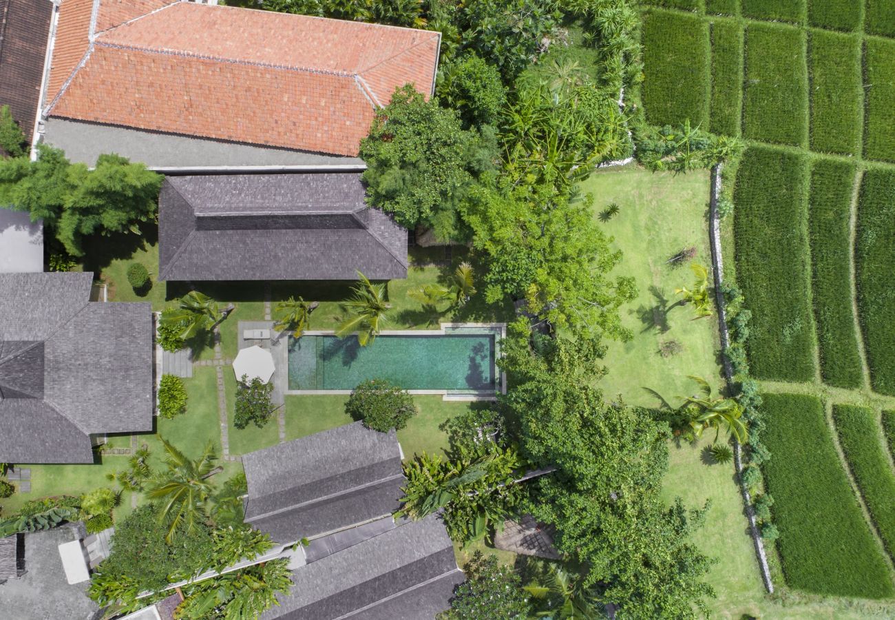 Villa en Kerobokan - Alea - Espectacular casa de 5 habitaciones con piscina en Bali