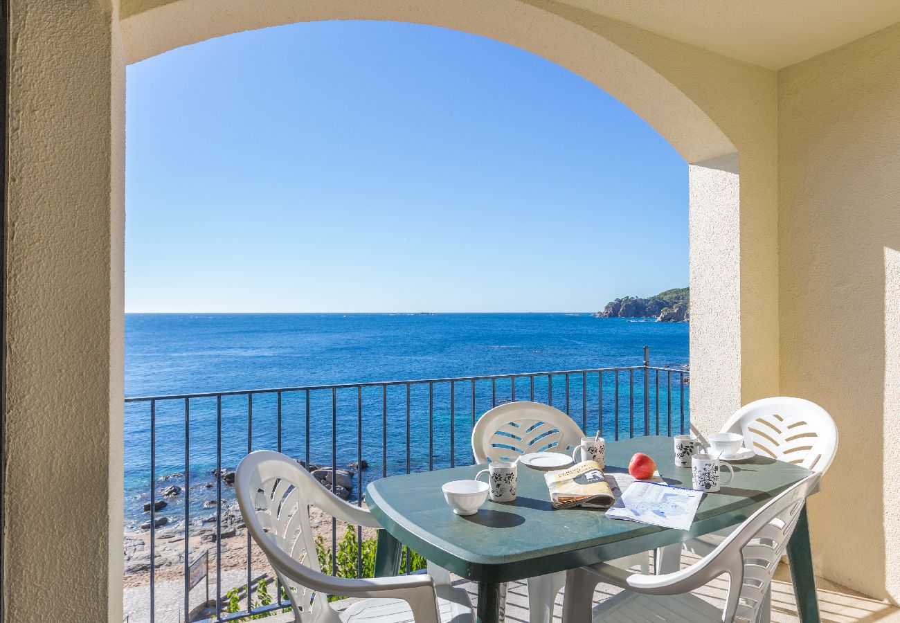 Apartament en Calella de Palafrugell - 1CAN02 - Apartament per 6 persones amb terrassa situat a primera línia de mar a Calella de Palafrugell 