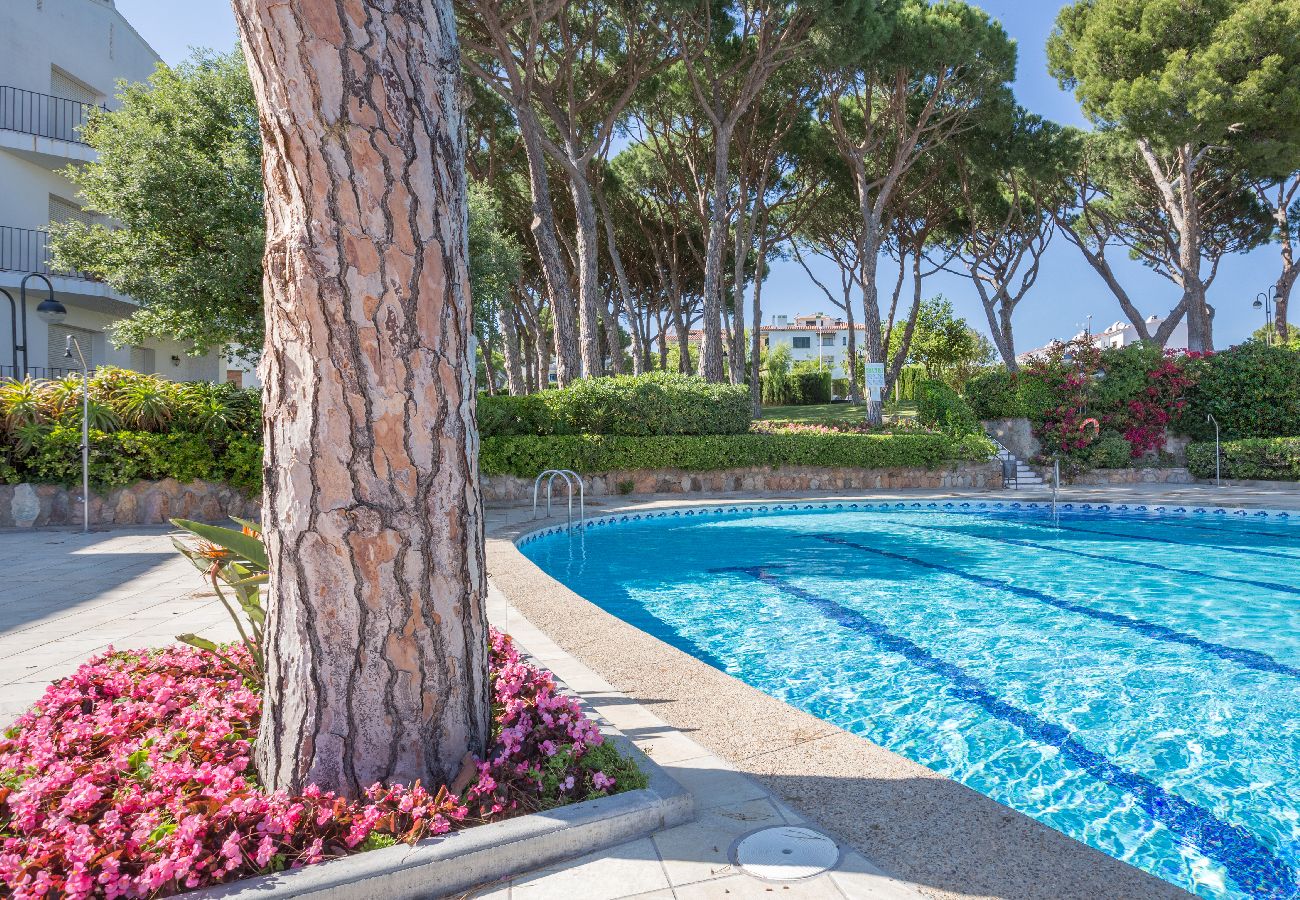 Apartament en Calella de Palafrugell - 1CV - Acollidor apartament amb piscina comunitària a només 200m de la platja de Calella de Palafrugell