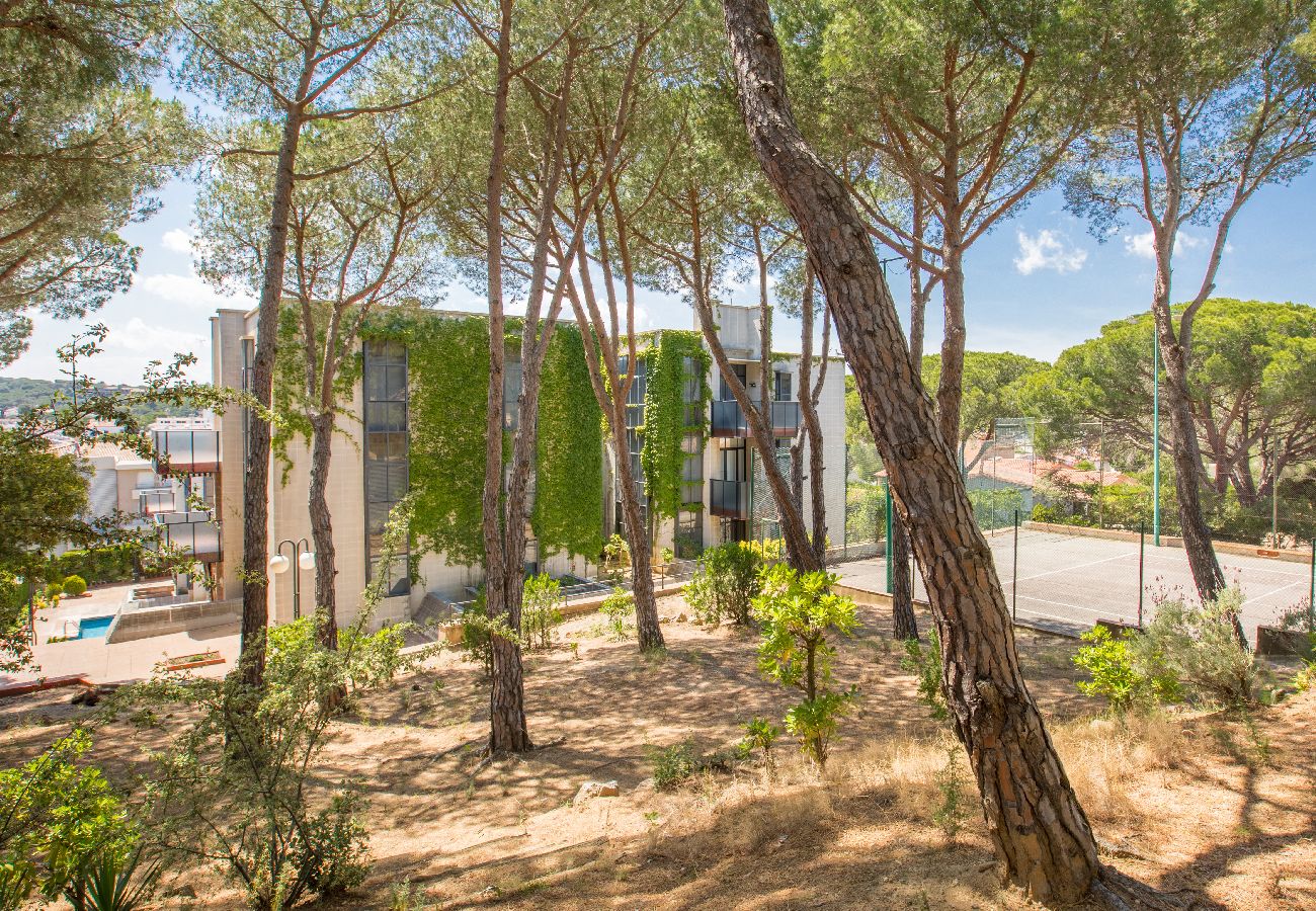 Apartament en Calella de Palafrugell - 1PINEDA 01 - Acollidor apartament per 8 persones situat a pocs minuts caminant de la platja de Calella de Palafrugell