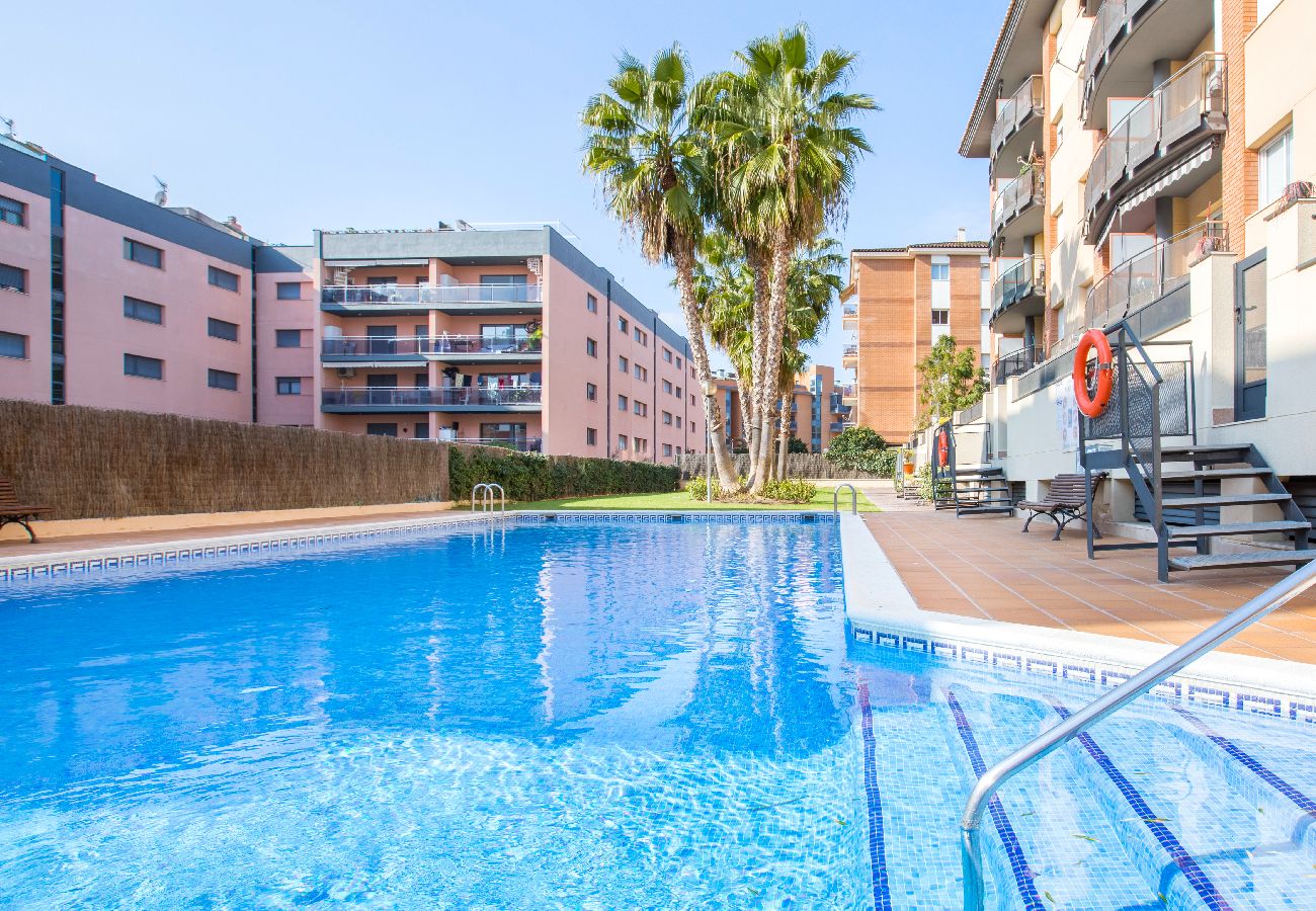 Apartament en Lloret de Mar - 2P53 - Acollidor apartament per a 4 persones amb piscina situat a prop del centre i de la platja de Fenals (Lloret de Mar)