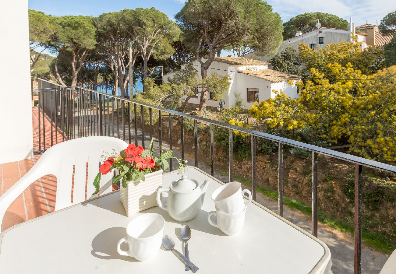 Apartment in Llafranc - 1ANC 15B - Basic 1 bedroom apartment located very close to the beach of Llafranc