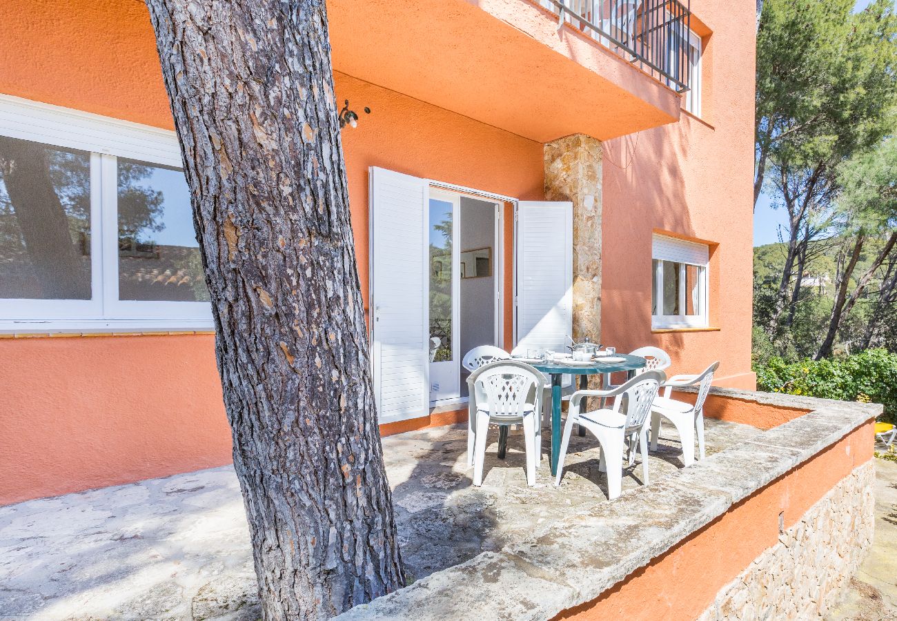 Apartment in Llafranc - 1CAR PL - Basic apartment with communal pool near Llafranc beach