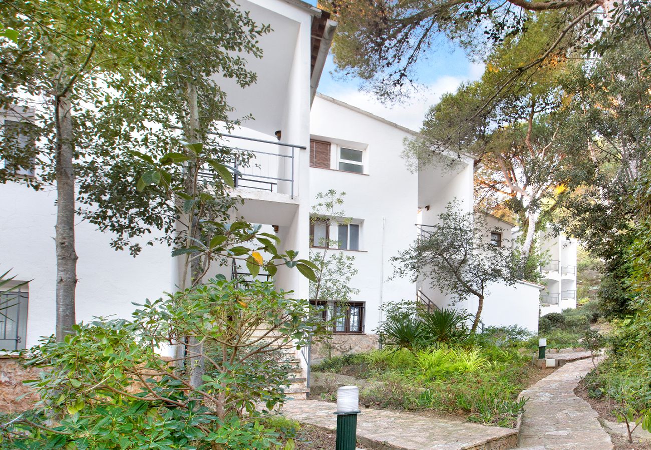 Apartment in Llafranc - 1CLIP H3 -Renovated apartment located in a very quiet area only 500m from the beach of Llafranc.