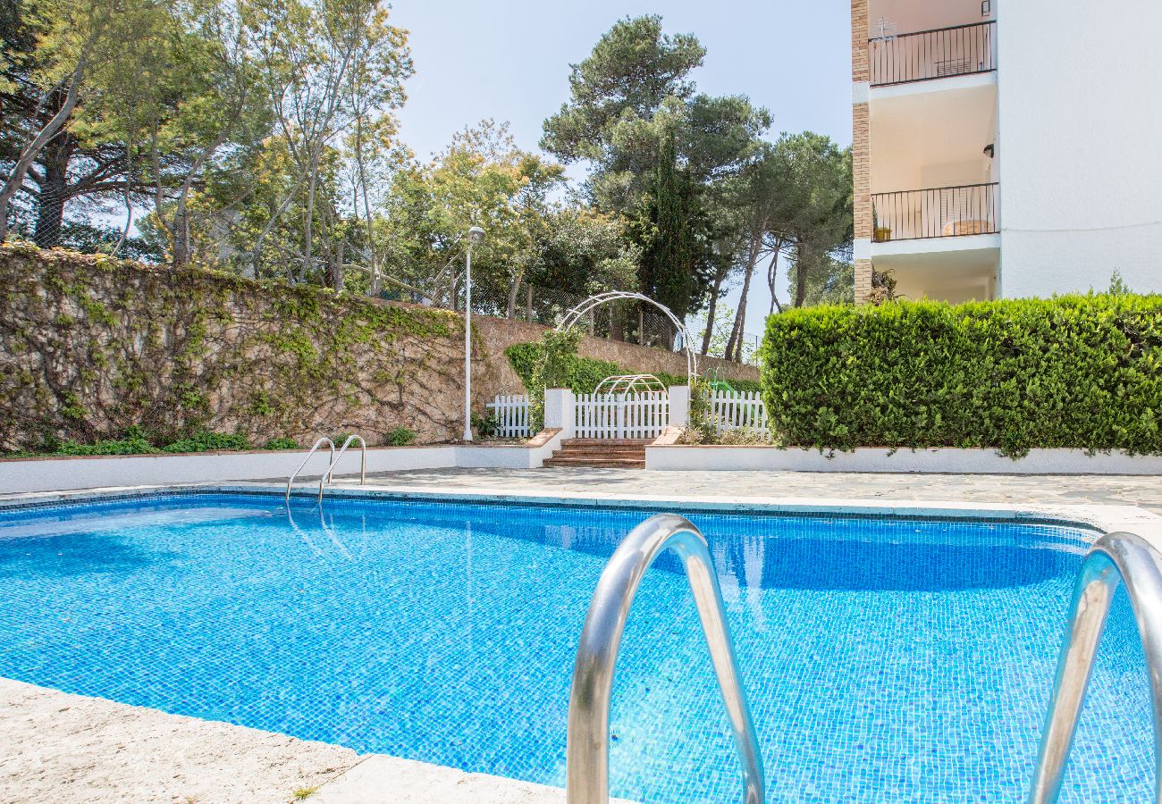 Apartment in Llafranc - 1OREN 01 - Basic apartment with communal pool located a few minutes walk from the beach of Llafranc