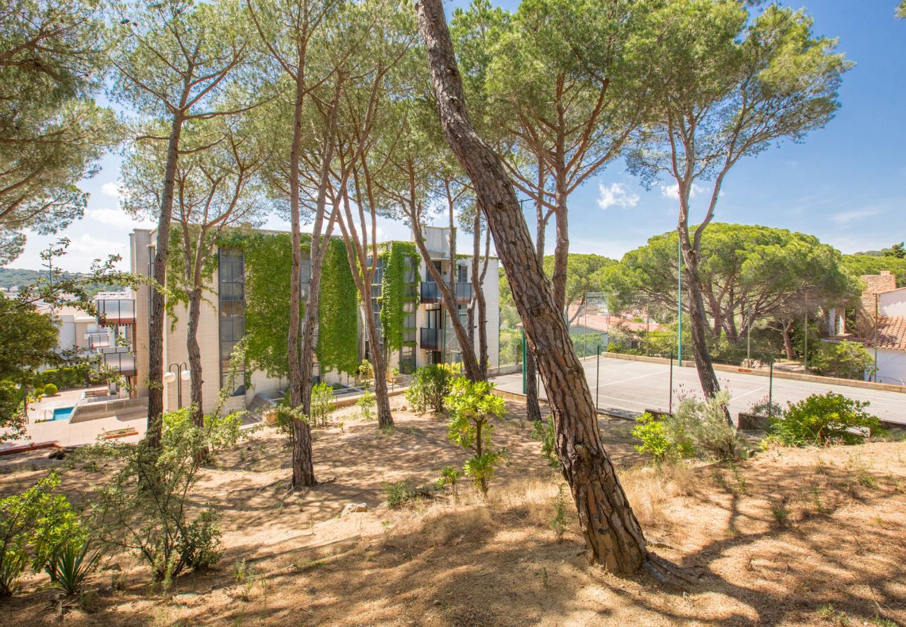 Apartment in Calella de Palafrugell - 1PINEDA 01 - Cozy apartment for 8 persons  situated a few minutes walk from the beach of  Calella de Palafrugell