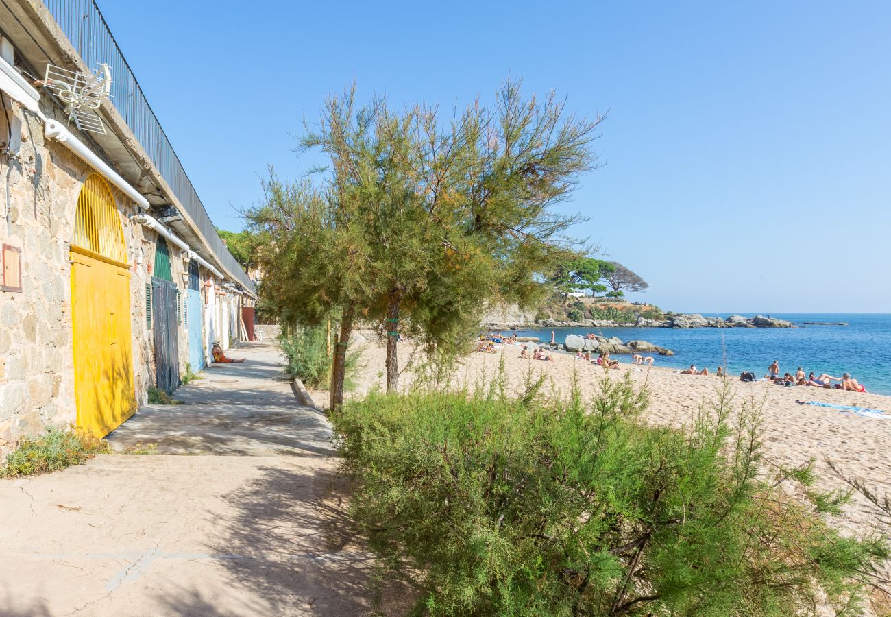 Apartment in Calella de Palafrugell - 1I-90 Cosy apartment with communal swimming pool a few minutes walk from the beach of Calella de Palafrugell.