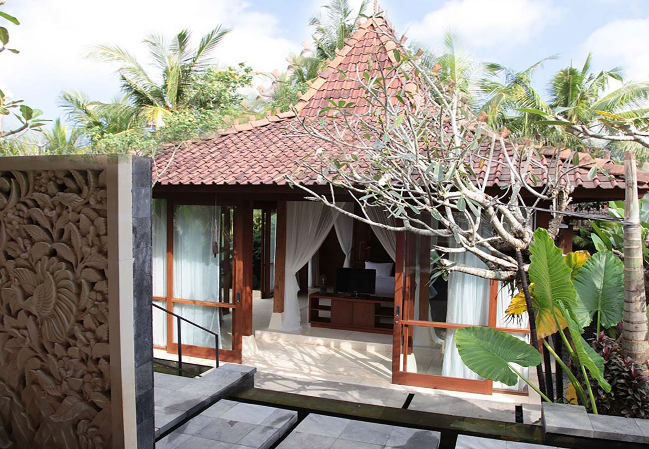 Villa in Canggu - Dea Villas - Amy