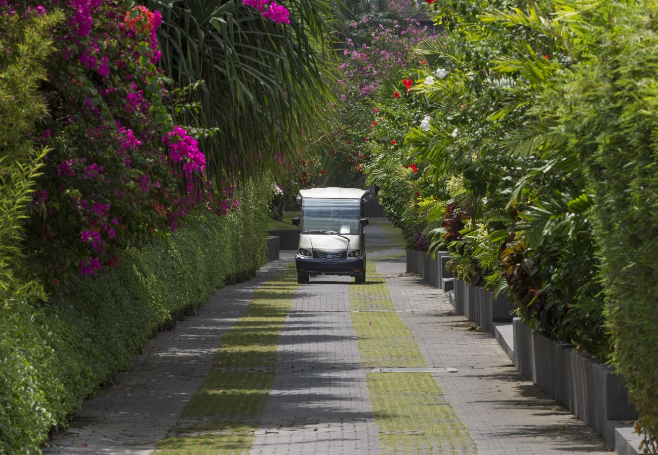 Villa in Seminyak - The layar - One bedroom villa