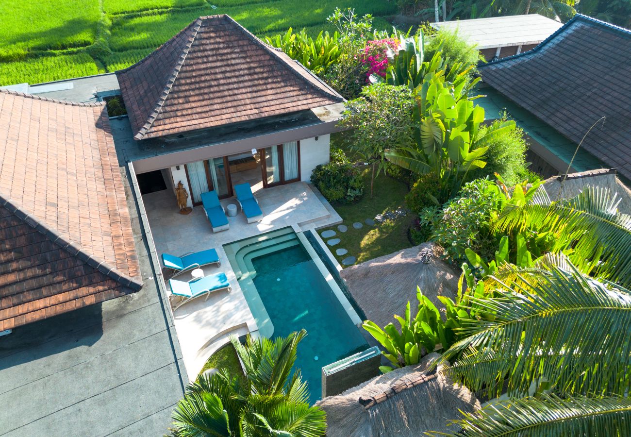 Villa in Ubud - Liang Ubud- Nice 3 bedroom villa with pool in Bali