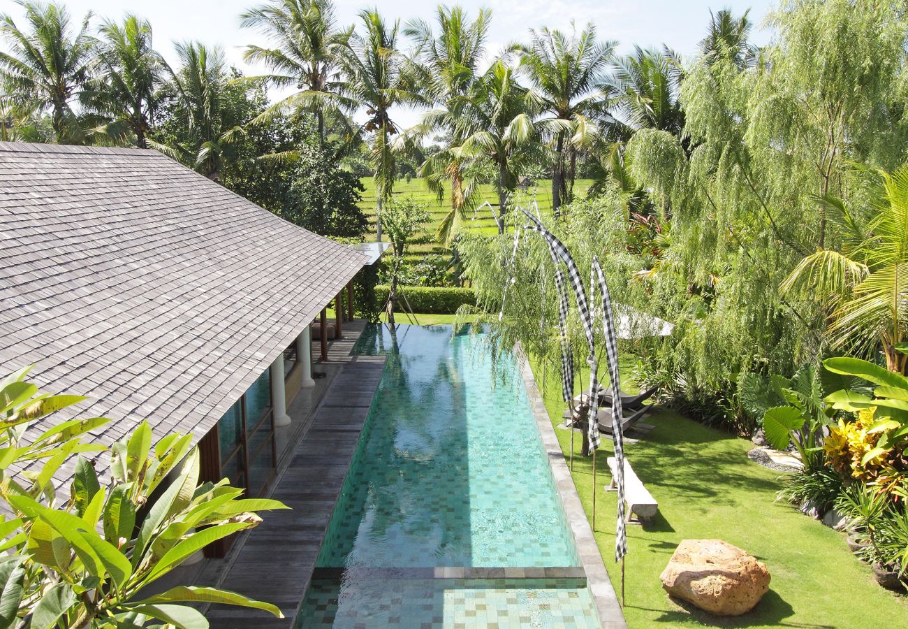 Villa à Canggu - Dea Villas - Sarasvati