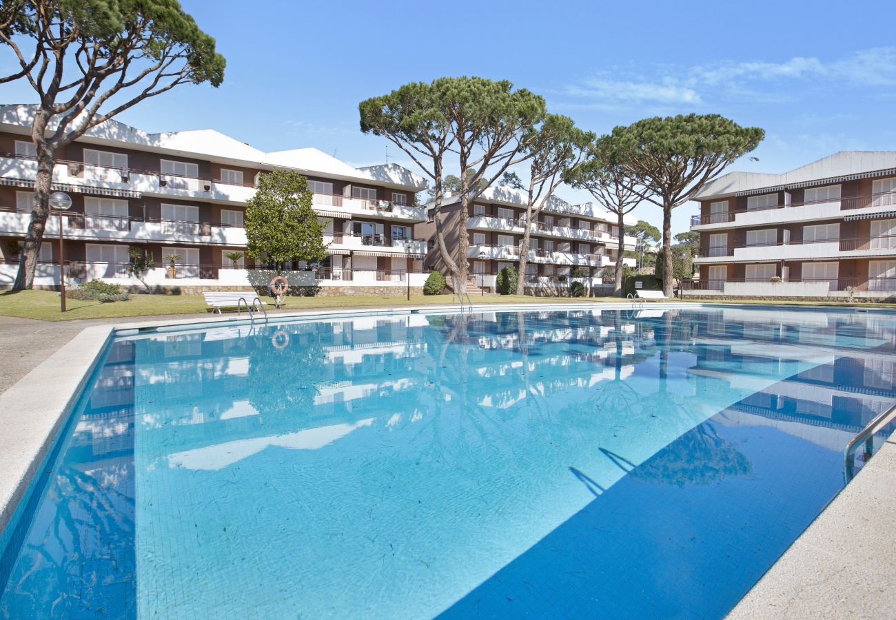 Appartement à Calella de Palafrugell - Appartement à Calella de Palafrugell qui possède 2 chambre(s) et Capacité pour 6 personnes. Logement de 91 m² accueillant et grand, avec vue sur le jardin. il est situé dans une zone idéale pour familles et dans le complexe résidentiel.Elle dispose de jardin, mobilier de jardin, terrasse, fer à repasser, accès internet (wifi), chauffage pompe à chaleur, climatisation, piscine collective, garage même bâtiment, 1 Télévision.La cuisine américaine, de gaz, est équipée avec réfrigérateur, micro-ondes, four, congelateur, lave-linge, sèche-linge, lave-vaisselle, vaisselle/couvert, ustensiles/cuisine, cafetière, grille pain, bouilloire et presse-agrumes.