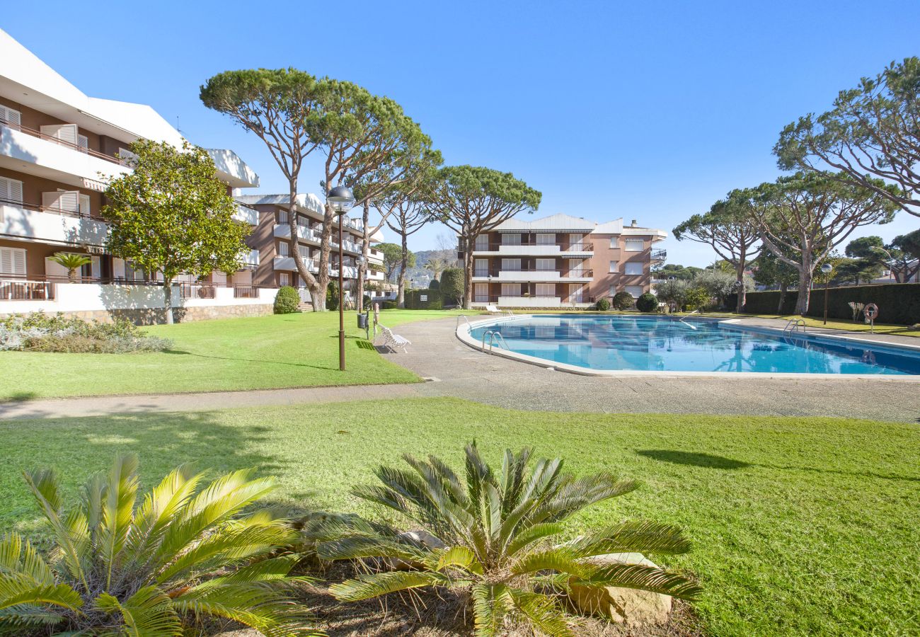 Appartement à Calella de Palafrugell - Appartement à Calella de Palafrugell qui possède 2 chambre(s) et Capacité pour 6 personnes. Logement de 91 m² accueillant et grand, avec vue sur le jardin. il est situé dans une zone idéale pour familles et dans le complexe résidentiel.Elle dispose de jardin, mobilier de jardin, terrasse, fer à repasser, accès internet (wifi), chauffage pompe à chaleur, climatisation, piscine collective, garage même bâtiment, 1 Télévision.La cuisine américaine, de gaz, est équipée avec réfrigérateur, micro-ondes, four, congelateur, lave-linge, sèche-linge, lave-vaisselle, vaisselle/couvert, ustensiles/cuisine, cafetière, grille pain, bouilloire et presse-agrumes.